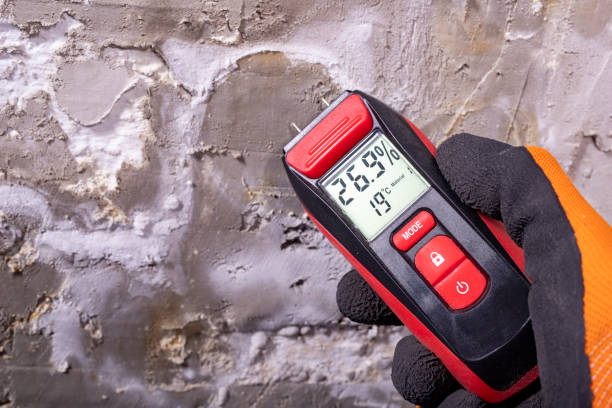 Crawl Space Mold Removal in Danville, VA