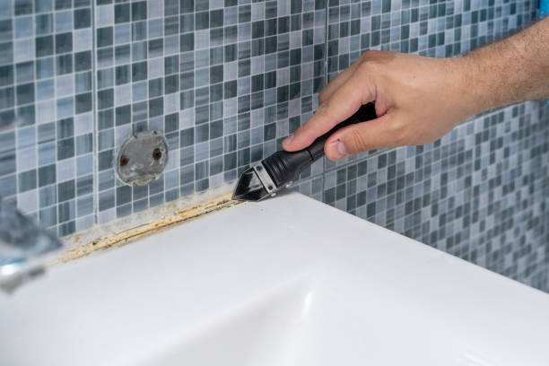 Best Residential Mold Removal  in Danville, VA