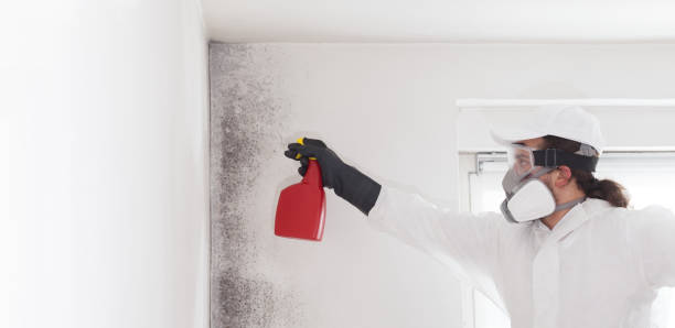 Best Crawl Space Mold Removal  in Danville, VA