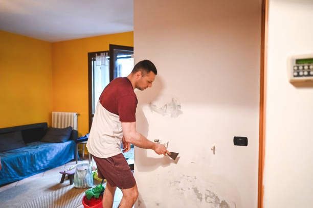 Best Mold Damage Repair  in Danville, VA